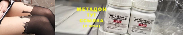 крисы Аркадак