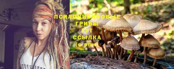 соль ск Арсеньев