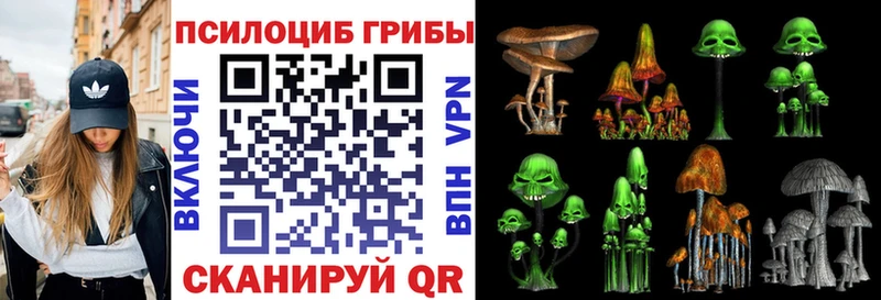 Купить  Котельнич  Псилоцибиновые грибы прущие грибы 